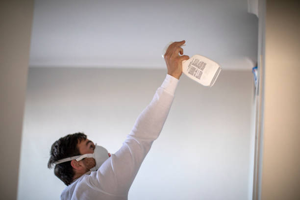 Best Mold Removal Near Me  in Fabens, TX