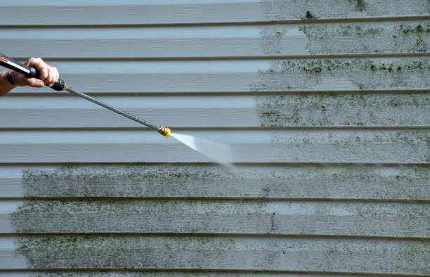 Attic Mold Removal in Fabens, TX