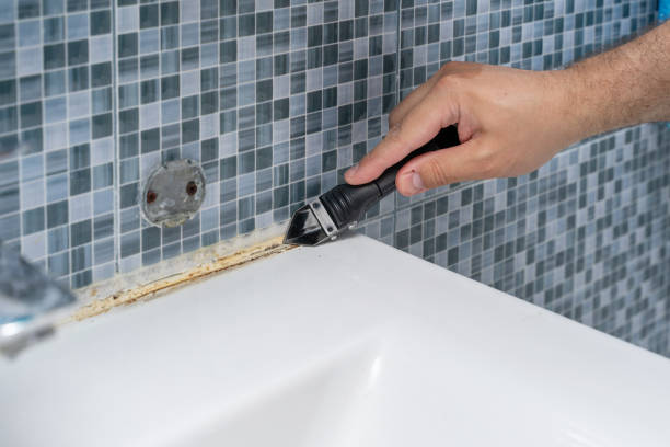 Best Mold Removal Near Me  in Fabens, TX