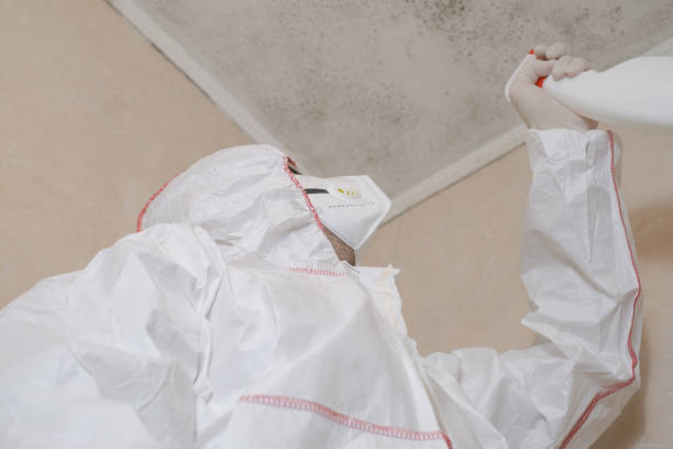 Best Crawl Space Mold Removal  in Fabens, TX
